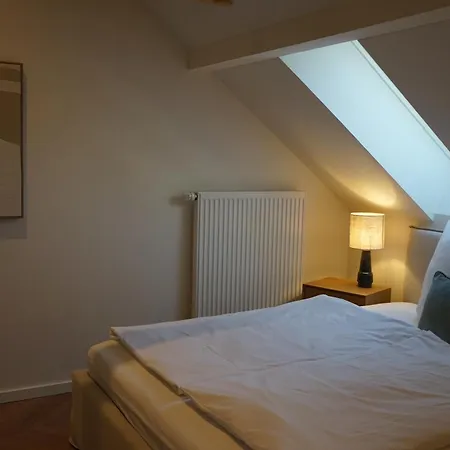 شقة Dachgeschosswohnung Im Stadtzentrum Fuer 4 Personen *